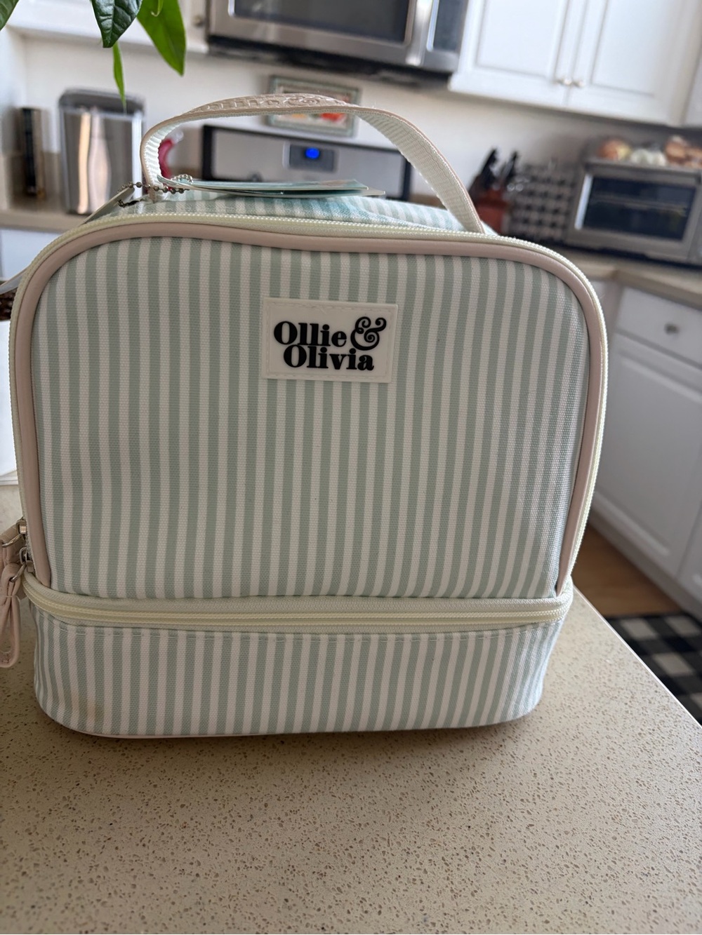New Ollie & Olivia lunch bag with containers included inside!